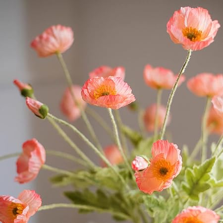 DUYONE Artificial Silk Poppy Flowers (6PCS)